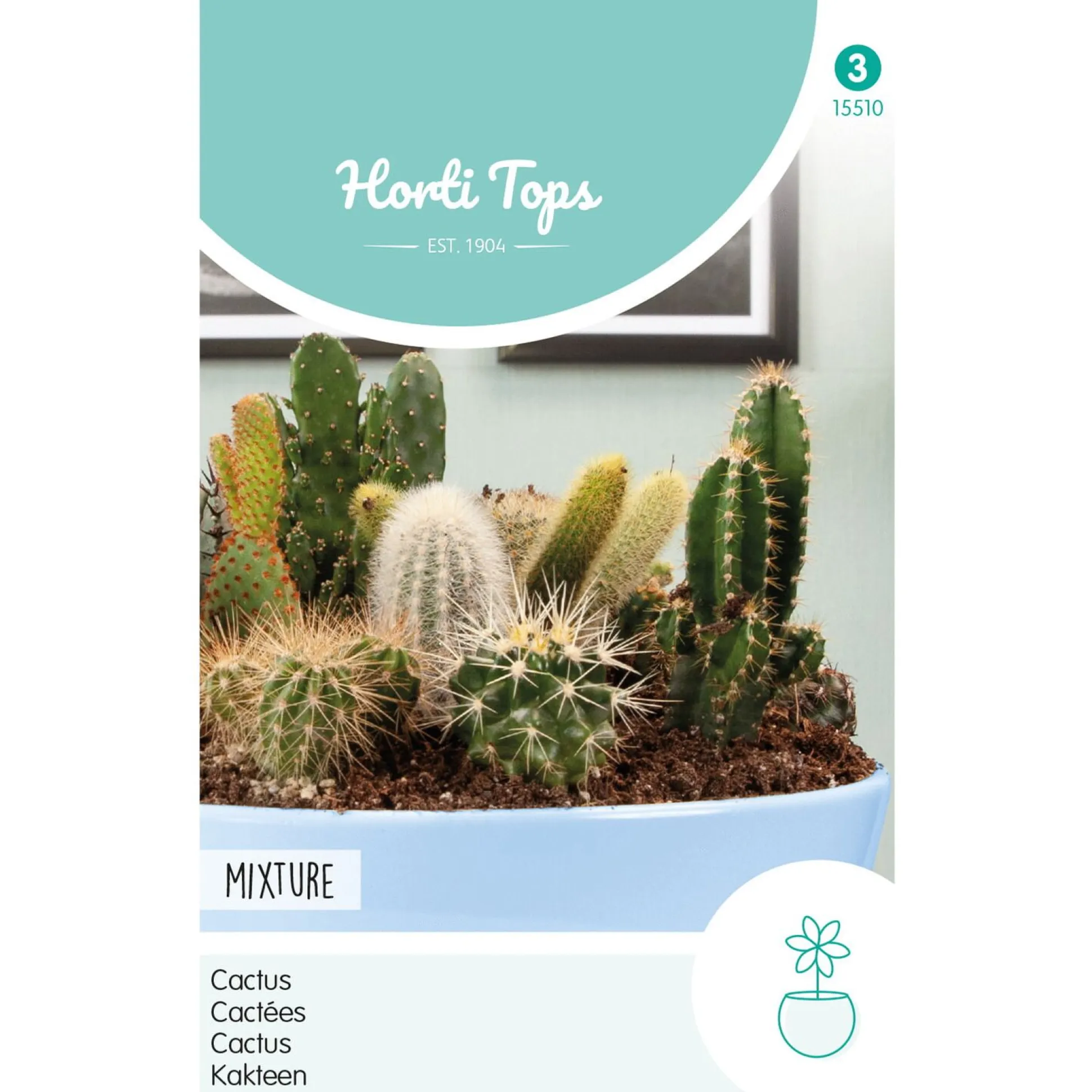 Cactus mix