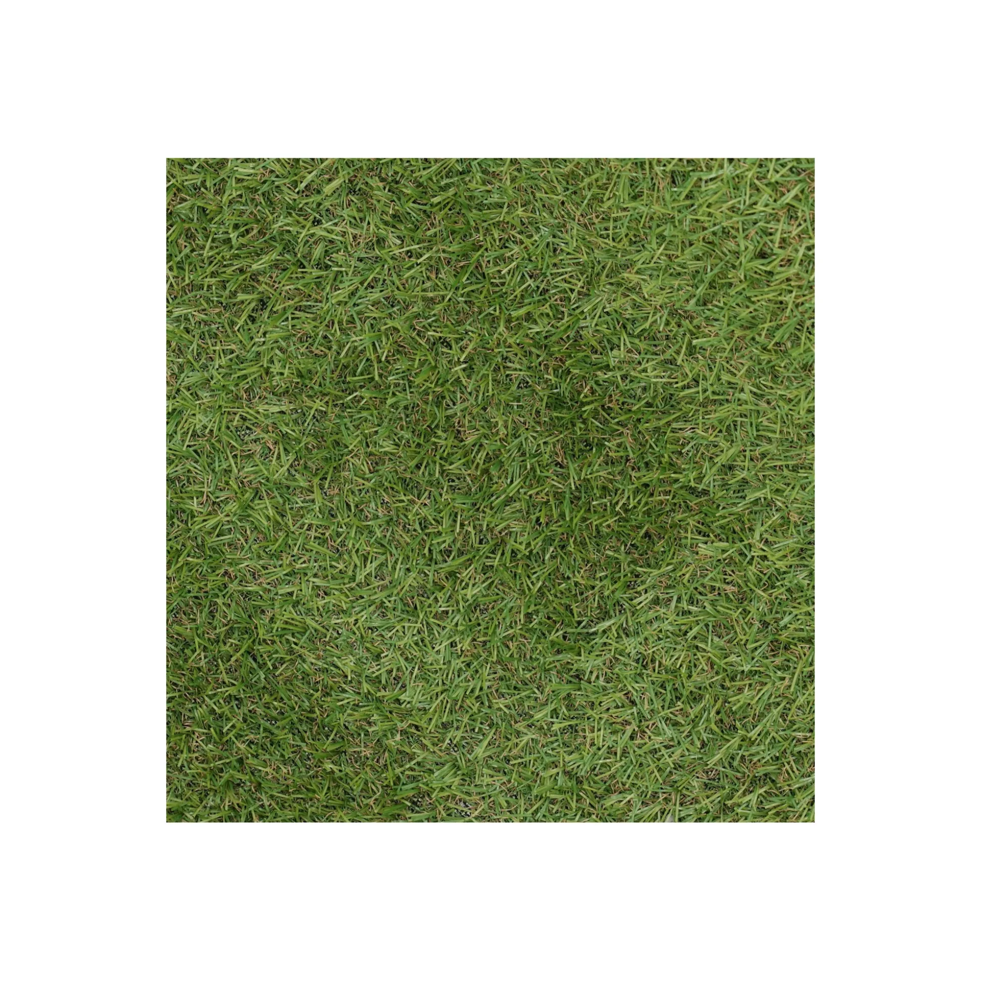 Grastapijt Carrow Road 1x2M Bel Garden